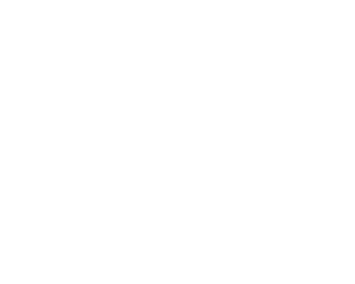Drip Detail Co. logo